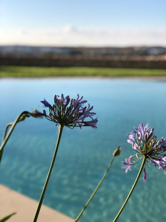 Вилла Sunset Oasis L-Imgarr Экстерьер фото